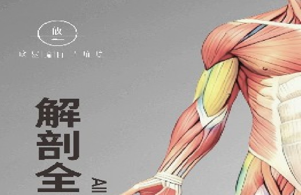 解剖全阶课程