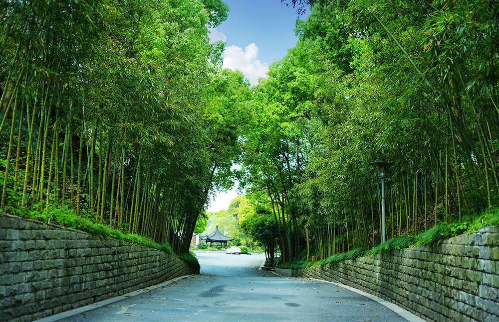 瑜伽学校一角风景