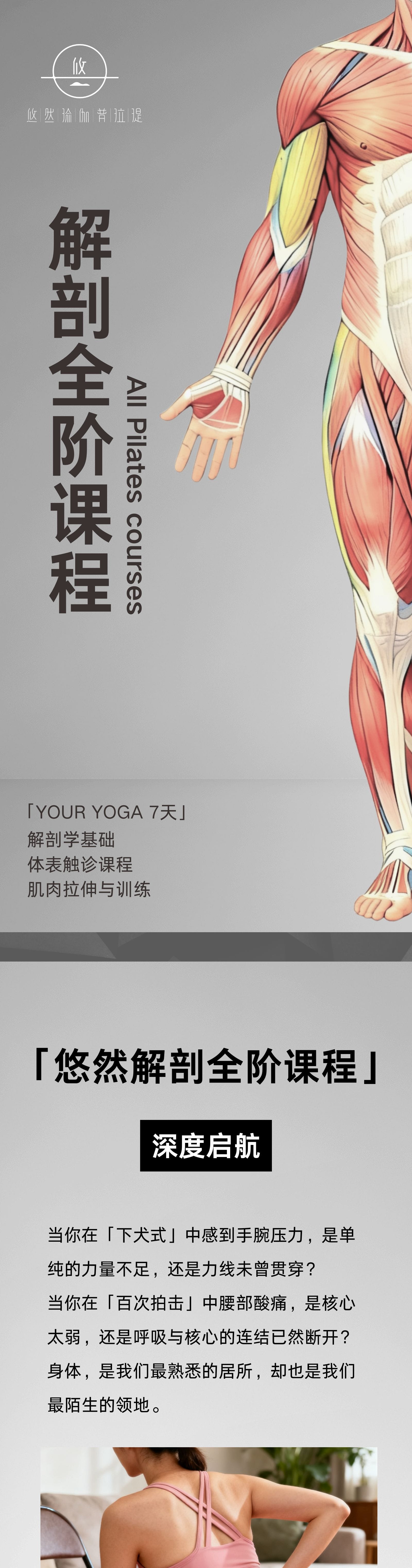 解剖全阶课程：